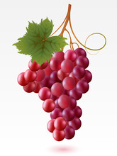 Red Grapes With Green Leaf On A White Background