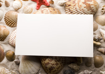Summer paper letter with shell