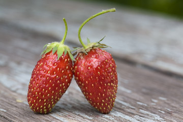 two strawberries