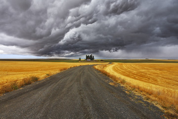 Poster - Thunder-storm