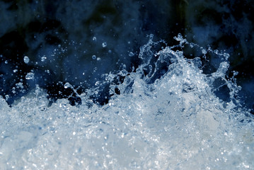 water  macro