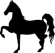 Horse Silhouette, Trot