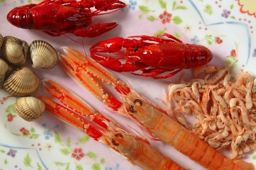 Wall Mural - seafood in market over ice