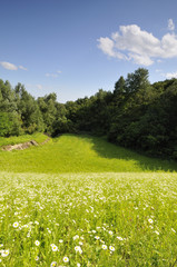 Wall Mural - View from the dam