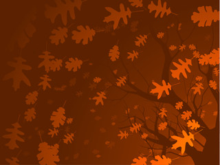 Wall Mural - autumn oak background