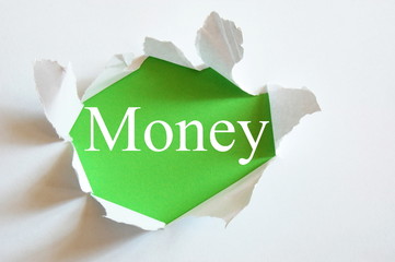 Wall Mural - green money