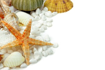 Wall Mural - Seashells and white pebbles isolated on white