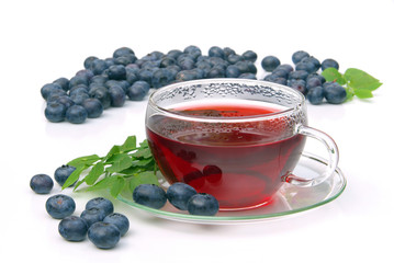 Poster - Tee Heidelbeere - blueberry tea 16