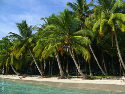 Beach No 5 Havelock Island Andaman Islands India Buy
