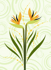 Canvas Print - beautiful floral design
