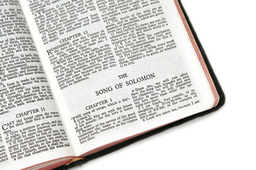 Wall Mural - bible open to song of solomon