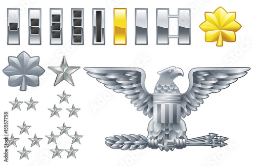 Cuadros en Lienzo american army officer ranks insignia icons