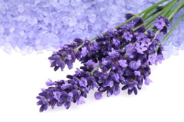 Fotomurales - Lavender and salt