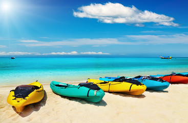 Canvas Print - Tropical beach