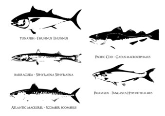 ocean fishes