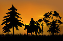 Cowboy On A Horse