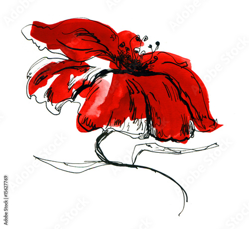 wektorowy-czerwony-kwiat-na-bialym-tle