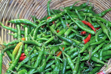 Wall Mural - panier de piments