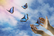 © luigi giordano - farfalle blu in volo