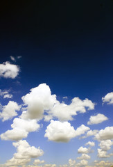Wall Mural - sky with a white clouds