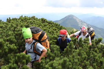 Wall Mural - Hiking in the Carpathian mountains
