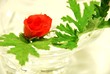geranium and rose