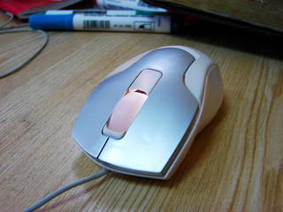 computer mouse