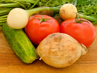 Wall Mural - vegetables