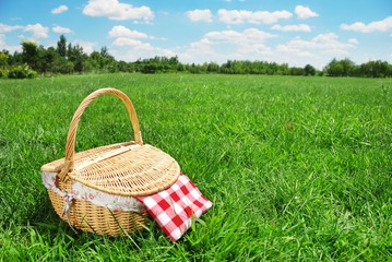 Canvas Print - Picnic