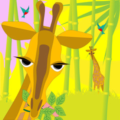 Poster - giraffe with branch