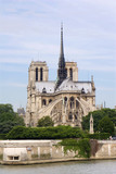 Fototapeta Paryż - Notre-Dame in Paris - gothic cathedral