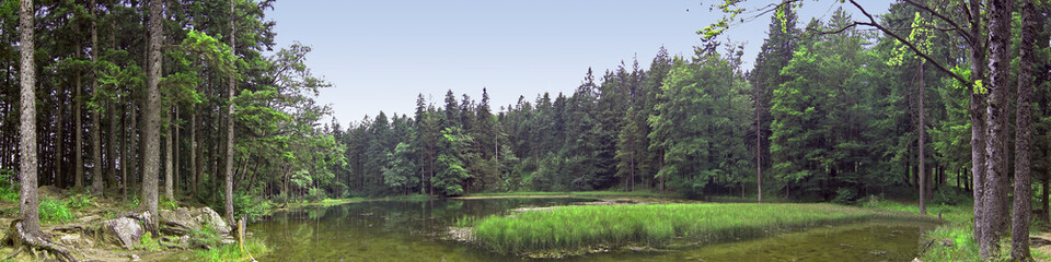 Panorama of a small lake