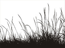 Grass Vector Silhouette