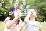 Fototapeta Tulipany - シャボン玉で遊ぶ2人の女の子