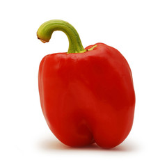 Wall Mural - red pepper isolated