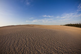 Fototapeta Natura - Dunes