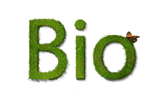 Bio text on white