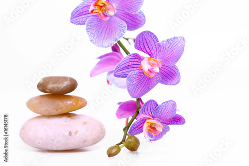 Foto-Schmutzfangmatte - wellness,orchidee (von Swetlana Wall)