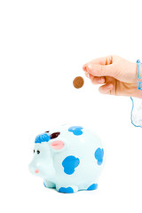 Hand is putting money into piggy bank, isolated on white backgro