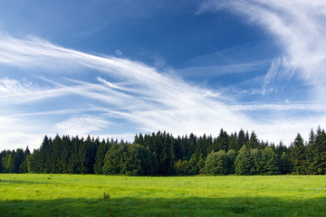 Meadow, forest and blue sky - romantic summer countryside