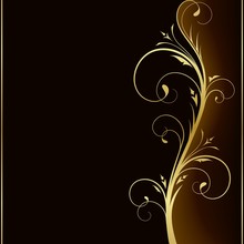 Elegant Dark Background With Golden Floral Design Elements