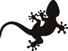 Vector Gecko Tattoo Isolated On Withe Background
