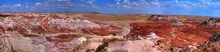 Petrified Forest Panorama