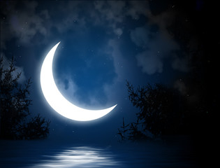 Wall Mural - moon