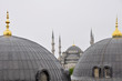 cupulas de mezquita