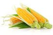 fresh corn vegetable with green leaves