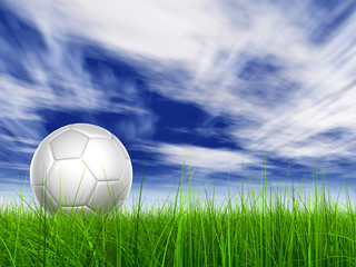 3D black soccer ball,green grass and a blue sky with clouds