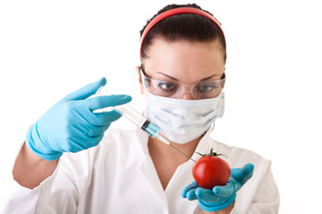 Wall Mural - gmo – laboratory work