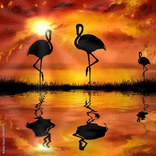 Fototapeta do kuchni flamingo on a beautiful sunset background