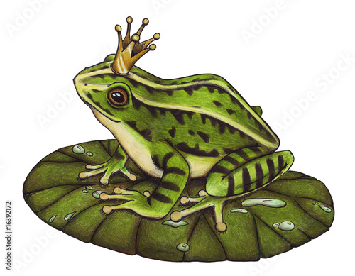 Froschkonig Frosch Konig Marchen Buch Krone Buy This Stock Illustration And Explore Similar Illustrations At Adobe Stock Adobe Stock